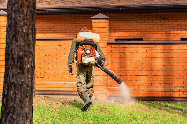 Trusted Bed Bug Control service in Hortonville, WI - Nex Pest Control